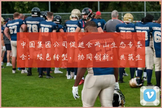中国集团公司促进会两山生态专委会：绿色转型，协同创新，共筑生态文明新篇章