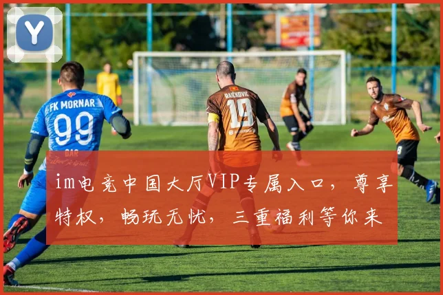im电竞中国大厅VIP专属入口，尊享特权，畅玩无忧，三重福利等你来拿，必看