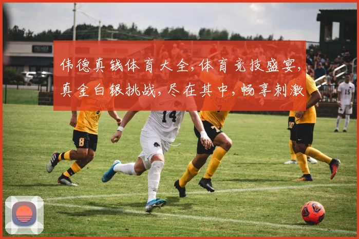 伟德真钱体育大全,体育竞技盛宴,真金白银挑战,尽在其中,畅享刺激