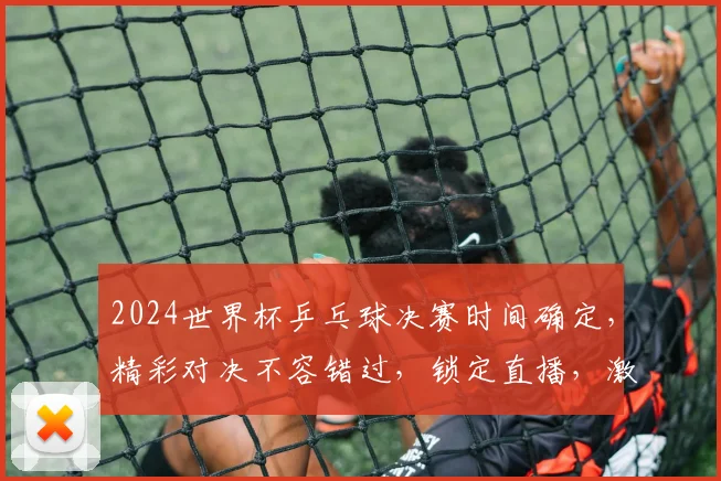 2024世界杯乒乓球决赛时间确定，精彩对决不容错过，锁定直播，激情一触即发，两强争霸，谁将问鼎